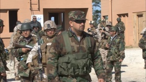 Camp Lejeune - B-Roll - Urban Training
