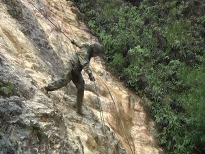 Marines Train for Jungle Warfare