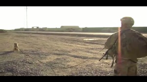 Who Let the Dogs Out (Long Version)