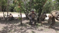Category K - 31st MEU Conducts Mock Urban Raid Against Small Guerrilla Force
