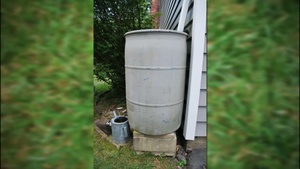Rain Barrels: Small Investment, Big Benefits