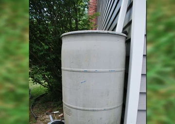 Rain Barrels: Small Investment, Big Benefits