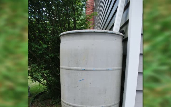 Rain Barrels: Small Investment, Big Benefits