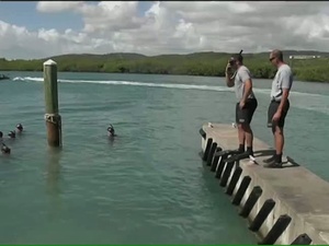 Minuteman Report: Puerto Rico National Guard Build Improved Ribbon Bridge