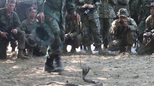 31st MEU Learns Jungle Survival From Thai Marines