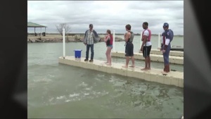 Polar Bear Swim