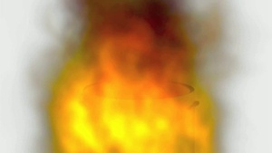 Turkey Frying PSA