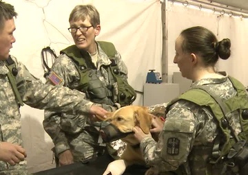 JRTC 13-04 Veterinary Services