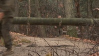 Marines Run Montford Point Challenge