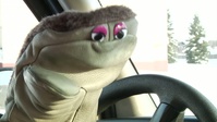 Don't Text and Drive PSA