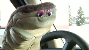 Don't Text and Drive PSA
