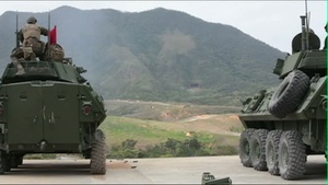LAR Platoon Performs Vehicle, Weapons Maintenance