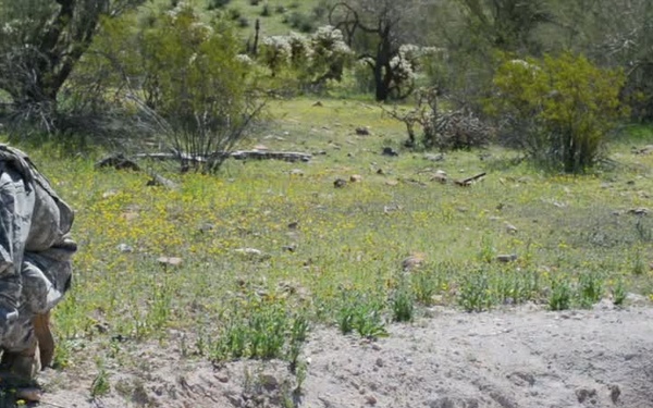 Showdown in the Desert: 363rd EOD Training