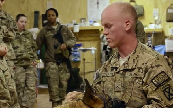 31K: Military Working Dog Handler