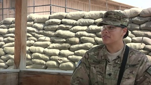 Twins Reunite During Deployment - Interviews