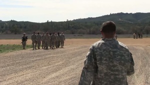 Warrior Exercise C17 Training