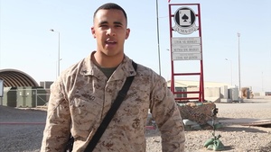 Lance Cpl. Anthony Beko Tampa Bay Rays' Greetings