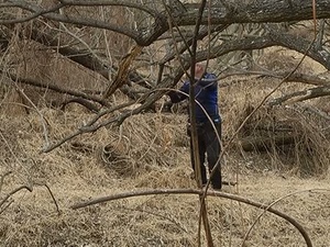 Korea Update - March 27