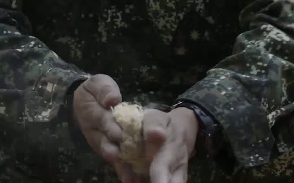 Balikatan 2013 Jungle Survival Training
