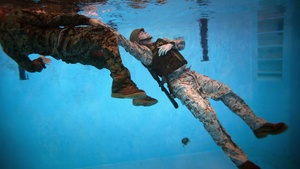 Swim to Survive (With Titles)