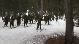 Second Battalion, Third Marine Regiment Marines ski at Marine Corps Mountain Warfare Training Center