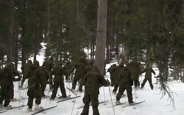 Second Battalion, Third Marine Regiment Marines ski at Marine Corps Mountain Warfare Training Center