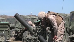 Artillery Marines Bring Expeditionary Firepower To The Fight (B-Roll)