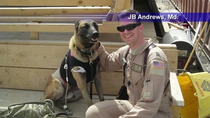 Air Force Report: Humble Hero