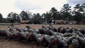 SPC Brian Ringrose: Making a Ranger