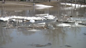 Flood Fight Activities, Fargo, N.D.