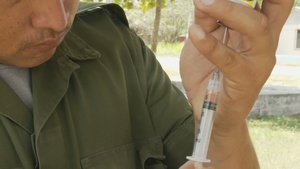 Veterinary Readiness Training Exercise Belize