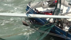 Good Samaritans Assist Kayakers in Distress