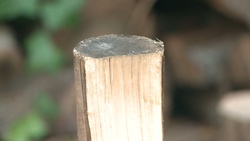 Split, Stack, Cover, Store: Four Simple Steps to Drying Firewood
