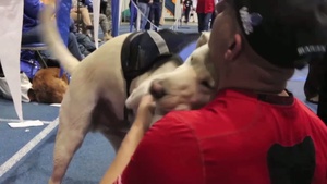 Man's Best Friend