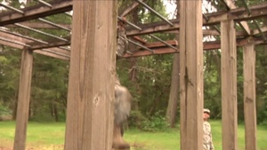 7th ID Soldier and NCO of the Year