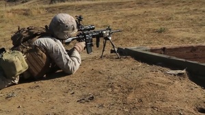 Infantry Marines Execute Live-Fire Maneuver Training (B-roll)