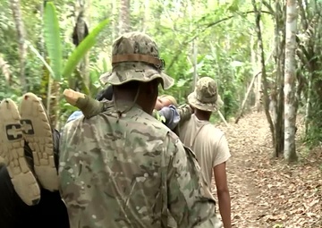 ARSOUTH News Update - May2013