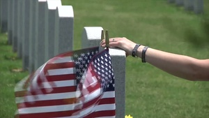 Military Widow Reflects