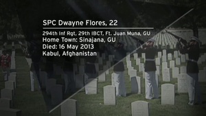The Ultimate Sacrifice - 29 May 2013
