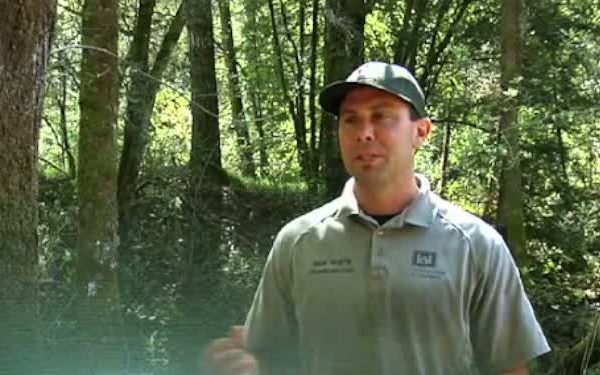 Coho Salmon Smolt Release