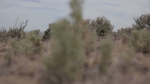Alaska Army National Guardsmen conduct combat training in Idaho