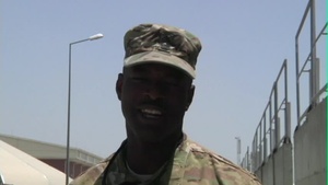 MSG Mark Branch