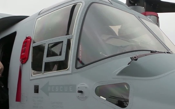 Peek-a-Boo Into The Life of Their Parents