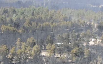 Aerial Footage From Inside a Chinook Fighting Black Forest Fire