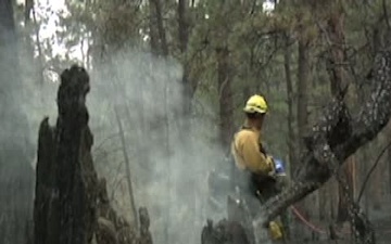 Black Forest Fire