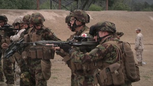 New Zealand Army Maneuver, Engage Targets during Dawn Blitz 2013