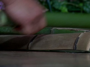 The Filipino-American Association of Iwakuni Hosted Their 17th Annual Pista Sa Nayon