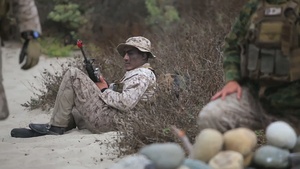 BLT 1/4 assaults Green Beach