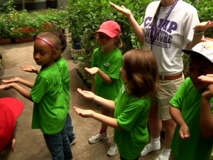 Butterfly Museum
