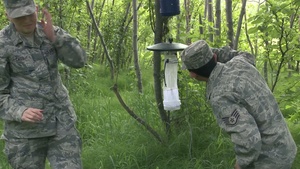 JBER Mosquito Testing 2013